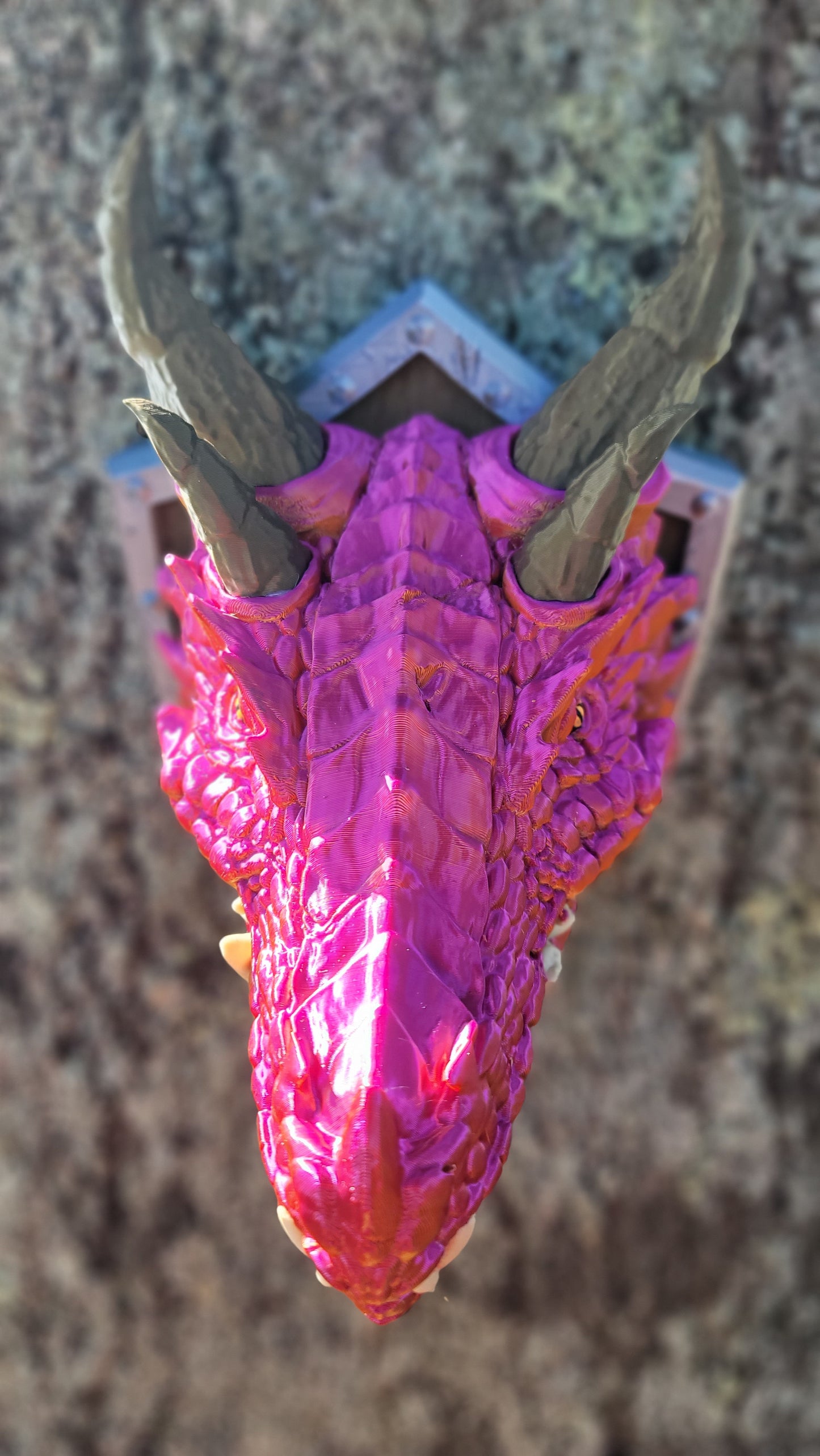 Color Shifting Fire Dragon