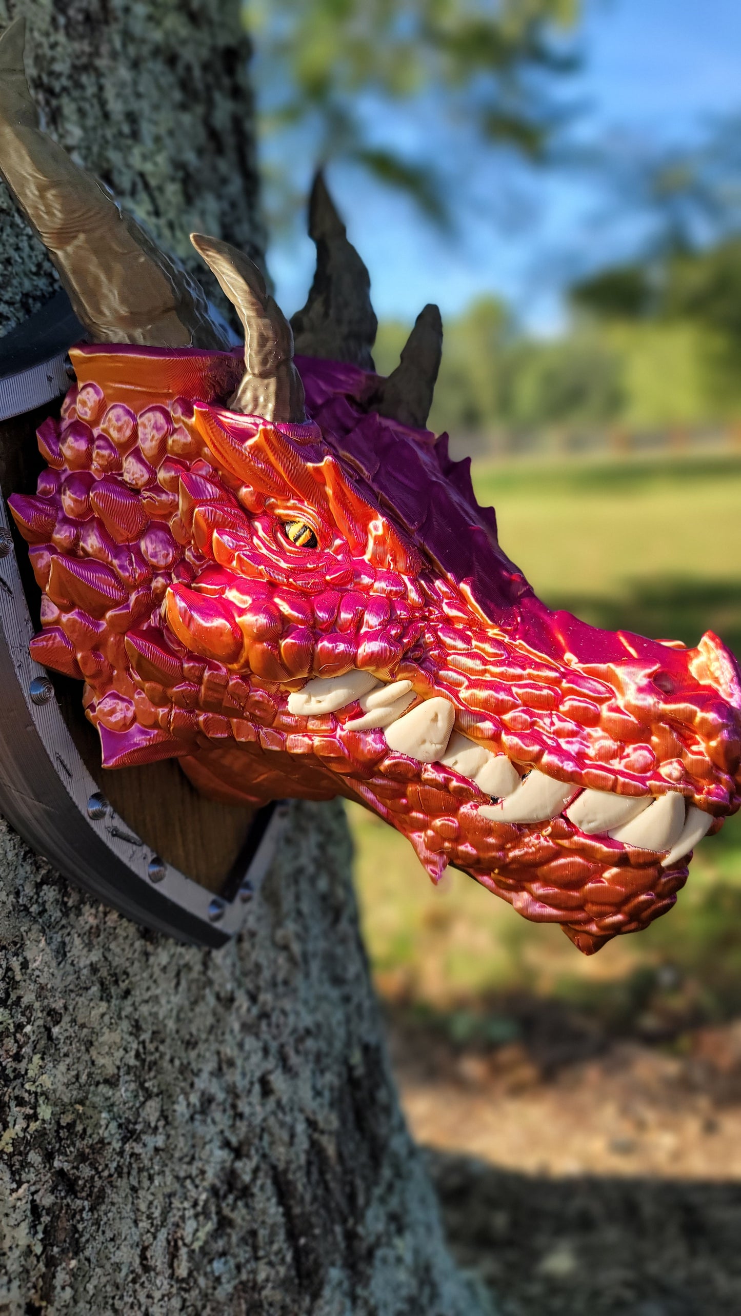 Color Shifting Fire Dragon