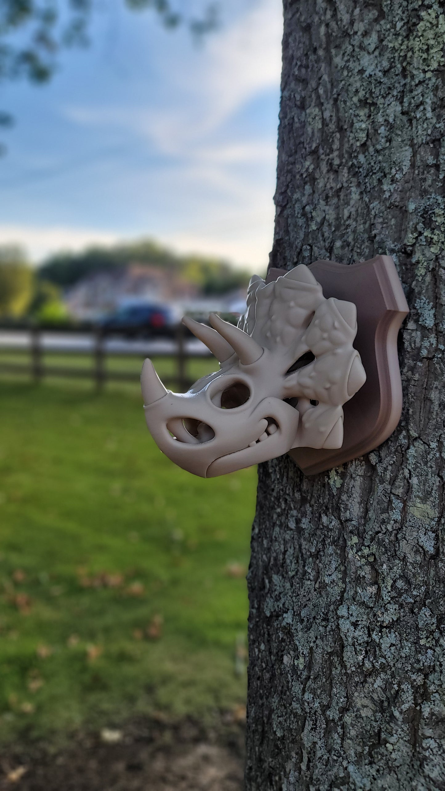 Triceratops Wall Art