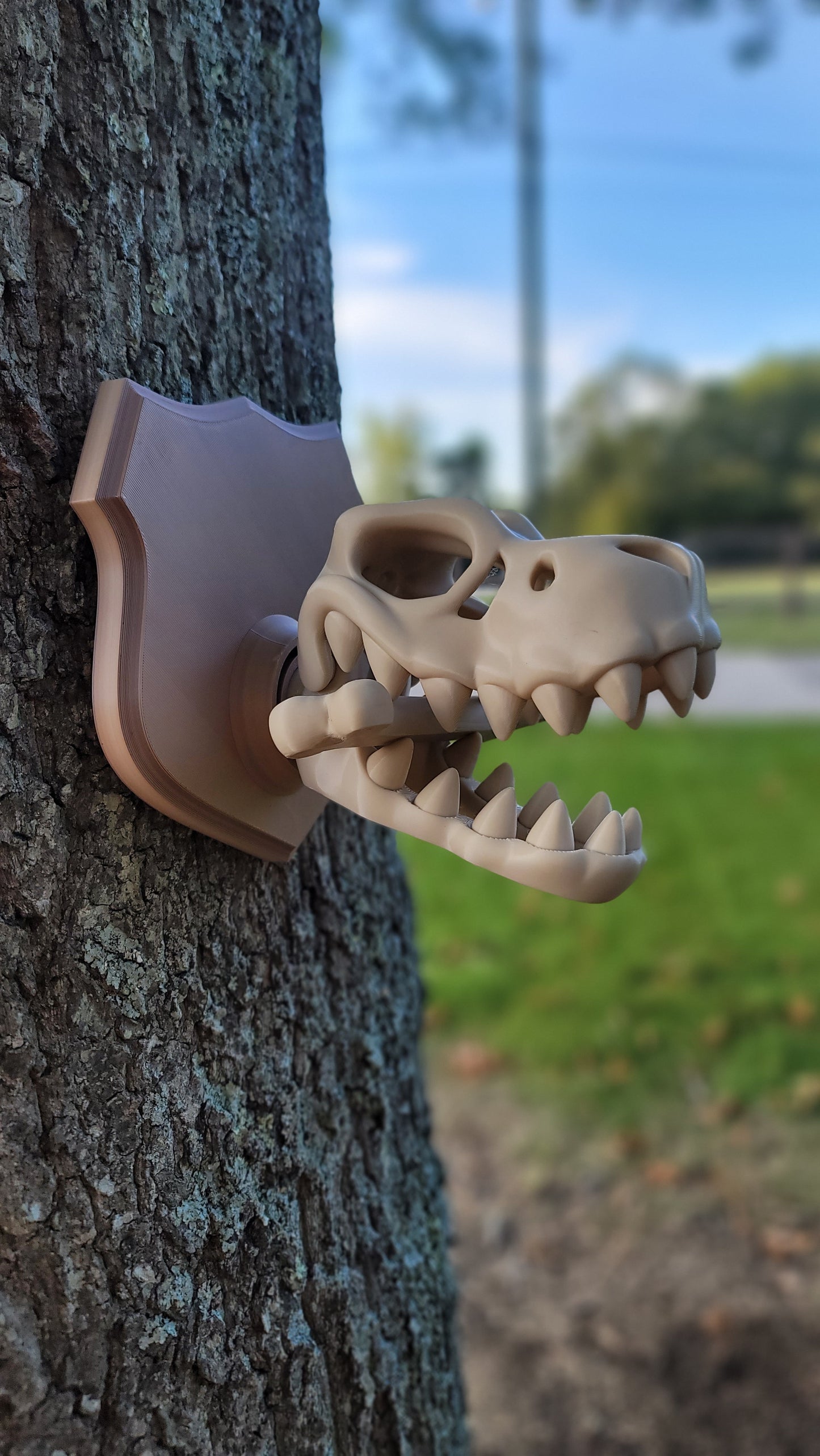 T-Rex Skull Wall Art