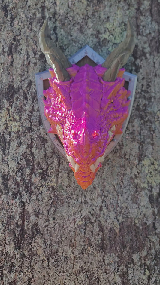 Color Shifting Fire Dragon